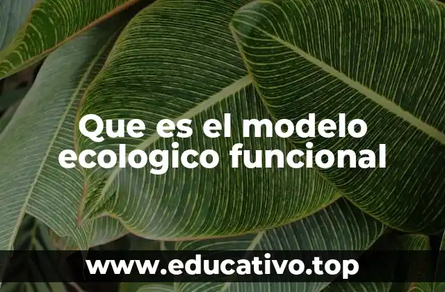 Que es el modelo ecologico funcional