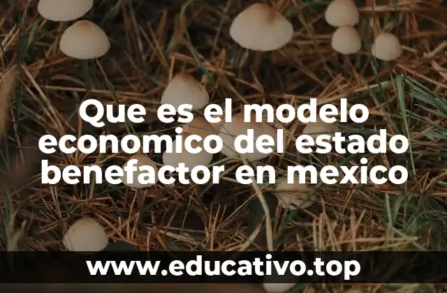 Que es el modelo economico del estado benefactor en mexico