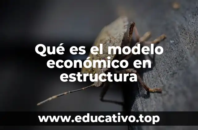 El papel de los modelos económicos en el análisis macroeconómico