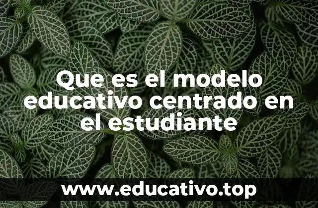 Que es el modelo educativo centrado en el estudiante