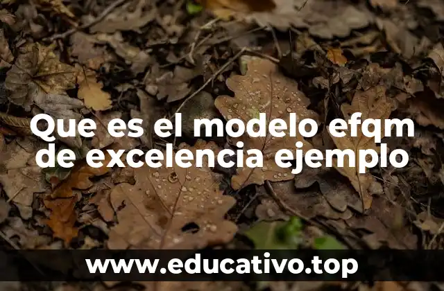 Que es el modelo efqm de excelencia ejemplo