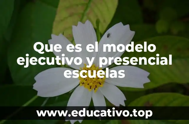 Que es el modelo ejecutivo y presencial escuelas