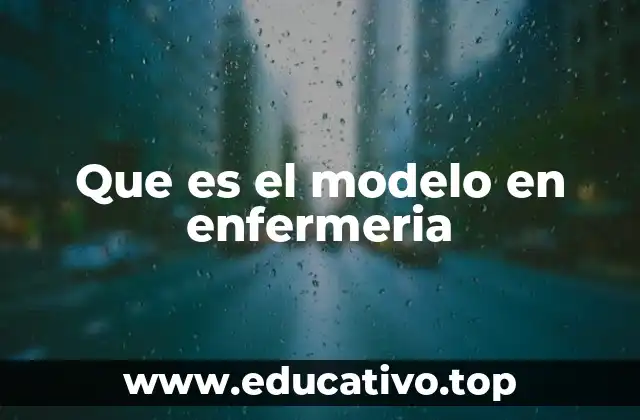 Que es el modelo en enfermeria