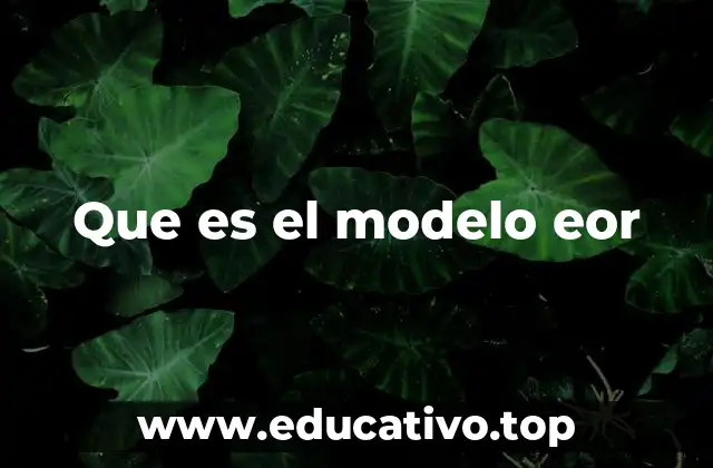 Que es el modelo eor