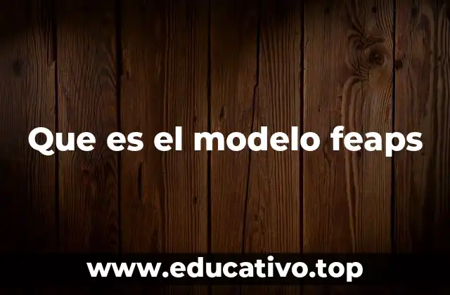 Que es el modelo feaps