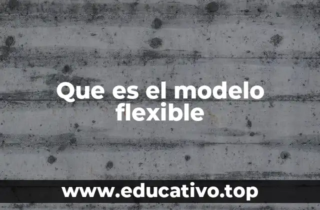 Que es el modelo flexible