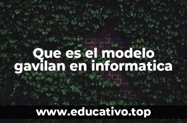 Que es el modelo gavilan en informatica