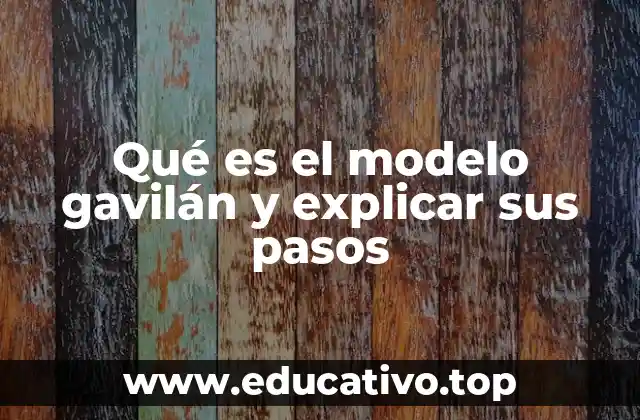 Qué es el modelo gavilán y explicar sus pasos