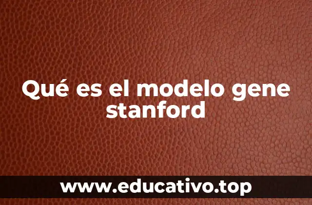 Qué es el modelo gene stanford