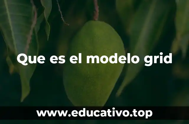 Que es el modelo grid