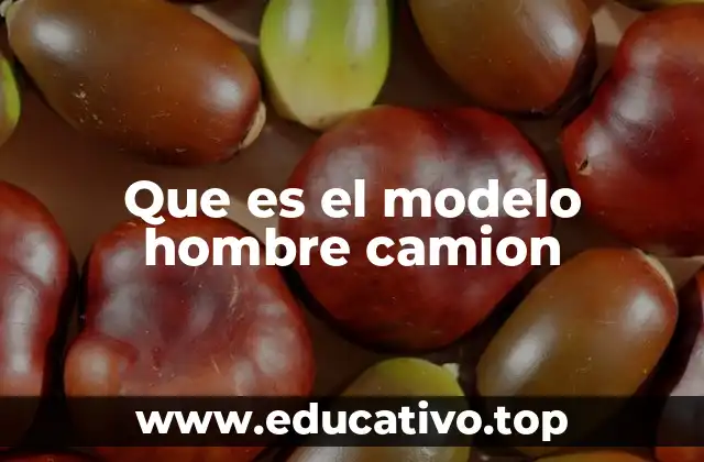 Que es el modelo hombre camion