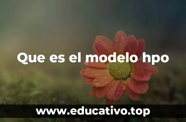 Que es el modelo hpo
