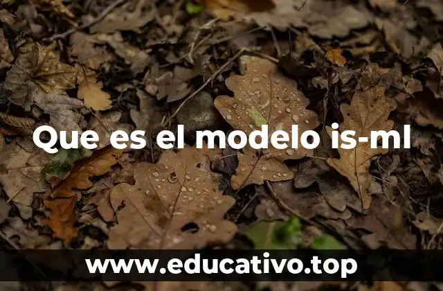 Que es el modelo is-ml