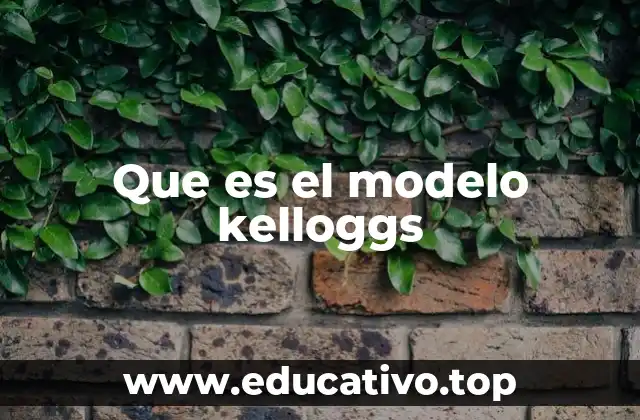 Que es el modelo kelloggs