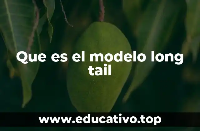 Que es el modelo long tail
