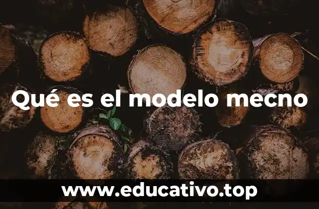 Qué es el modelo mecno