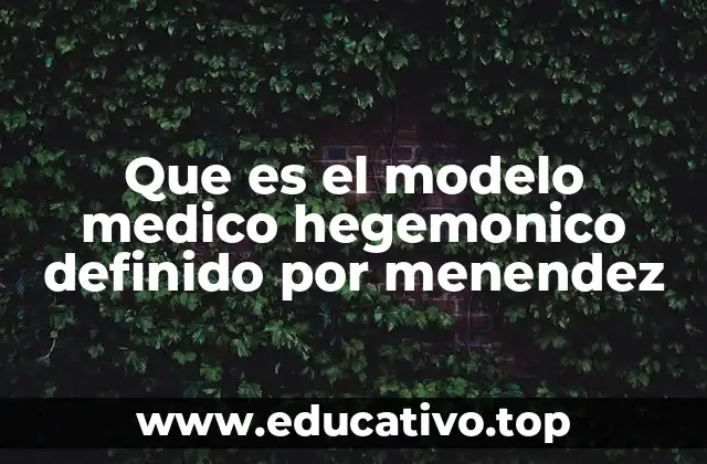 Que es el modelo medico hegemonico definido por menendez