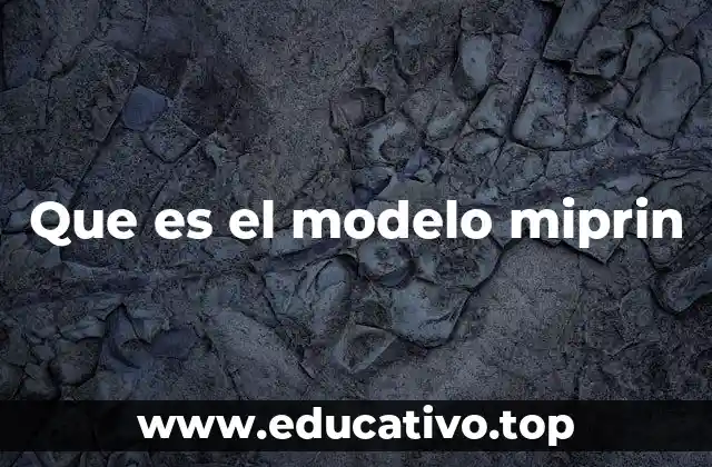 Que es el modelo miprin