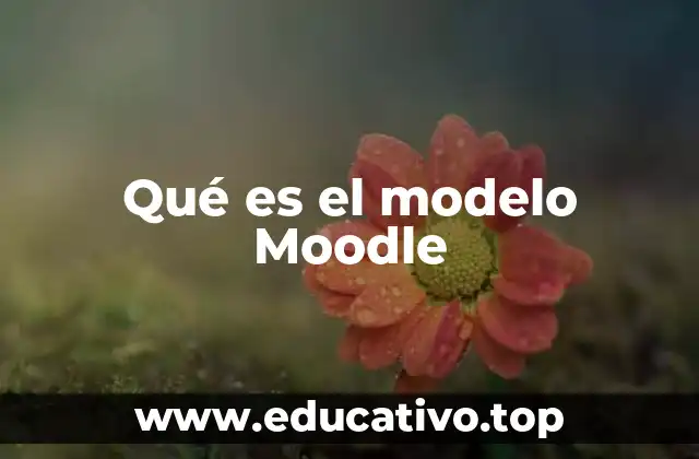 Qué es el modelo Moodle