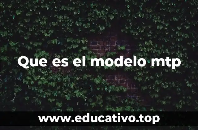 Que es el modelo mtp