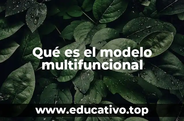 Qué es el modelo multifuncional