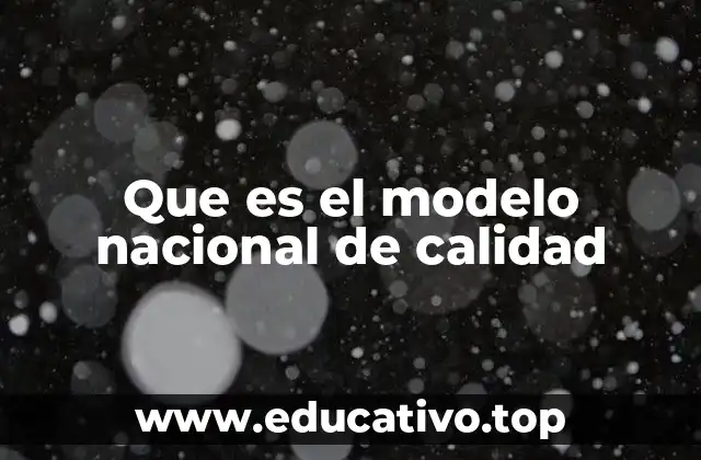 Que es el modelo nacional de calidad