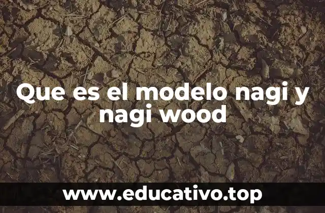 Que es el modelo nagi y nagi wood