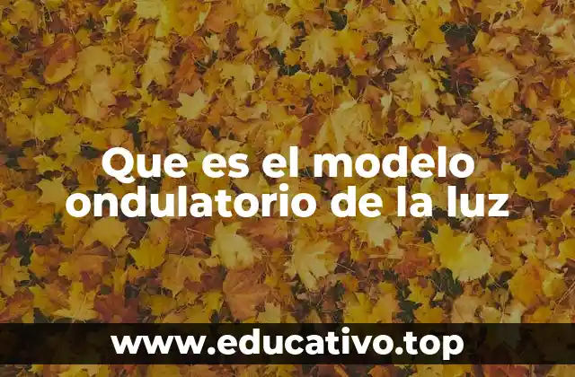 Que es el modelo ondulatorio de la luz