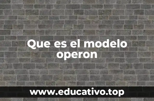 Que es el modelo operon