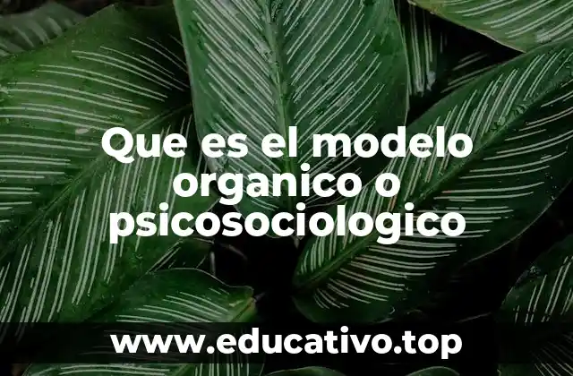 La importancia del enfoque psicosociológico en la gestión organizacional