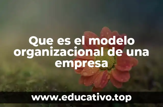 Que es el modelo organizacional de una empresa