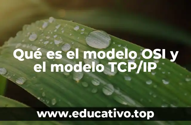 Qué es el modelo OSI y el modelo TCP/IP
