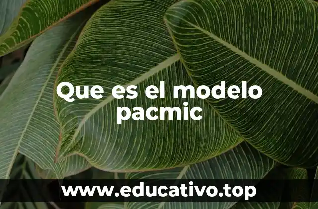 Que es el modelo pacmic