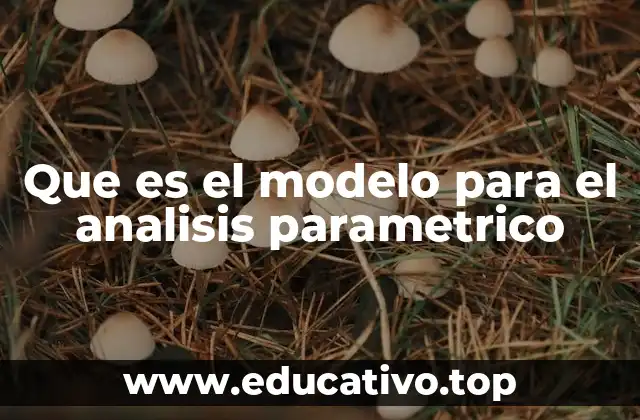 Que es el modelo para el analisis parametrico