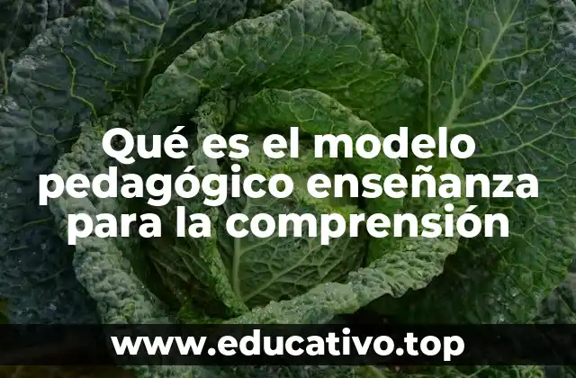 Qué es el modelo pedagógico enseñanza para la comprensión