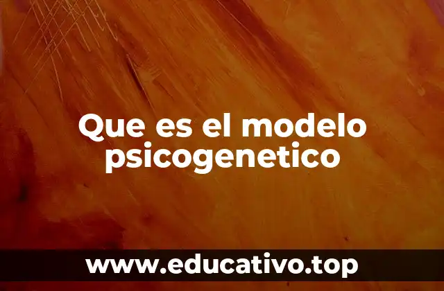 Que es el modelo psicogenetico
