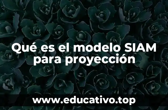 Qué es el modelo SIAM para proyección