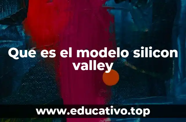 Que es el modelo silicon valley