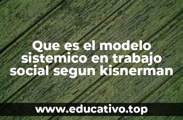 Que es el modelo sistemico en trabajo social segun kisnerman