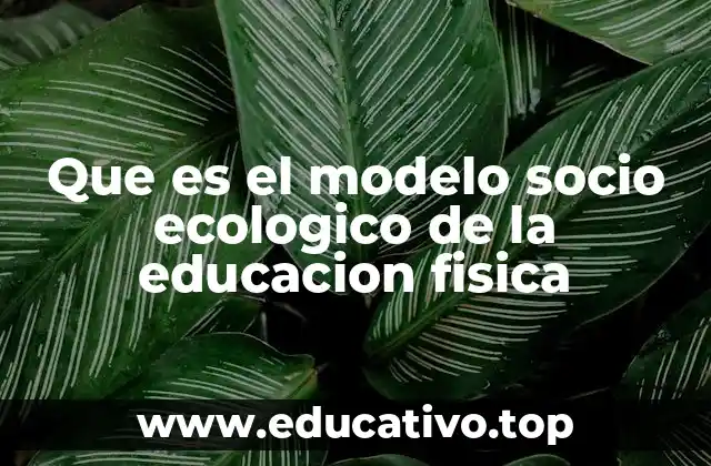 Que es el modelo socio ecologico de la educacion fisica
