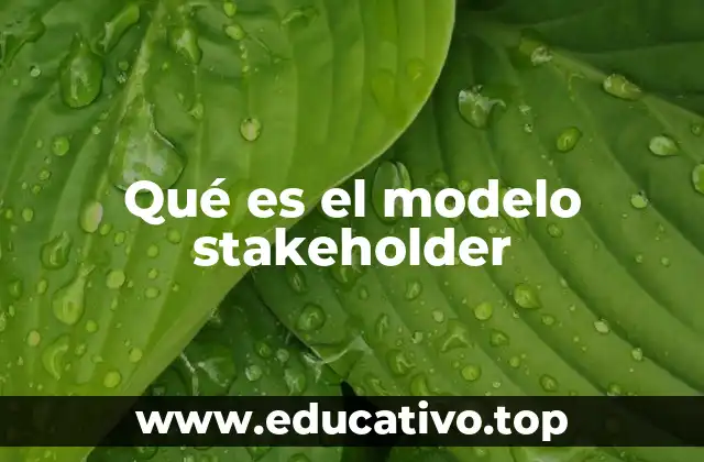 Qué es el modelo stakeholder