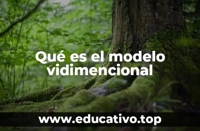 Qué es el modelo vidimencional