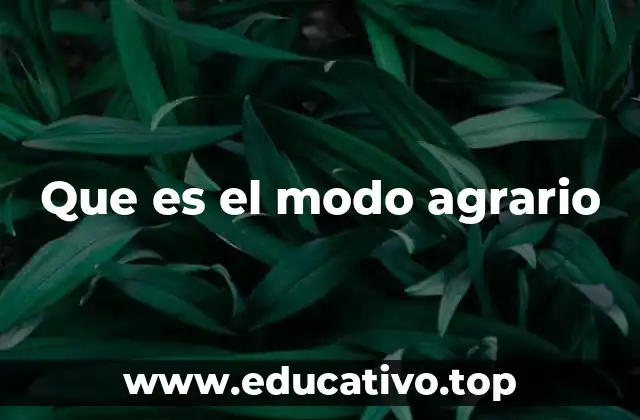 La base económica de las sociedades rurales