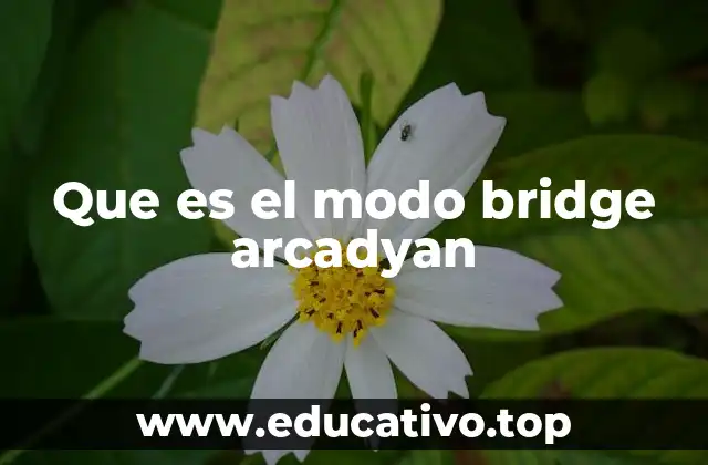 Que es el modo bridge arcadyan