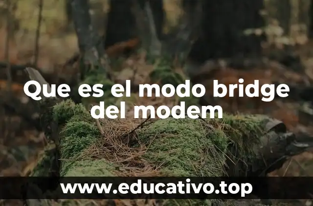 Que es el modo bridge del modem
