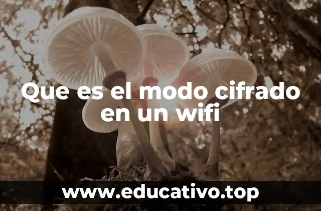 La importancia de proteger los datos en redes inalámbricas