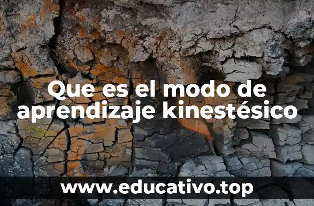 Que es el modo de aprendizaje kinestésico