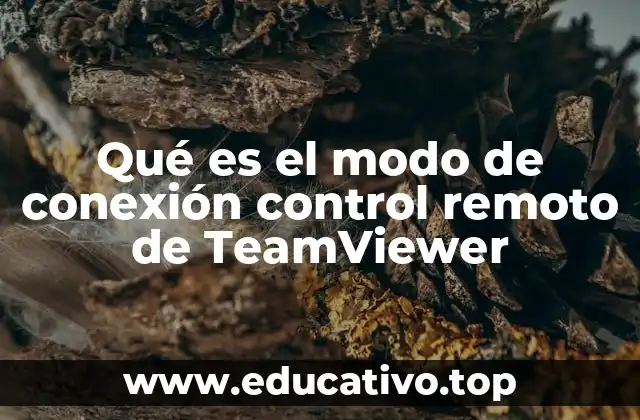 Qué es el modo de conexión control remoto de TeamViewer