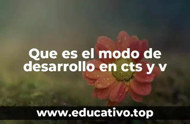 Características del modo de desarrollo en entornos CTS y V