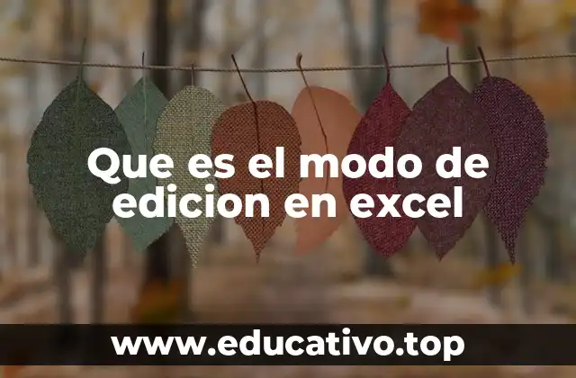 Que es el modo de edicion en excel